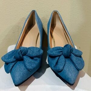 Elegant Blue Bow Women's Shoes